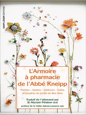 cover image of L'armoire à pharmacie de l'Abbé Kneipp
